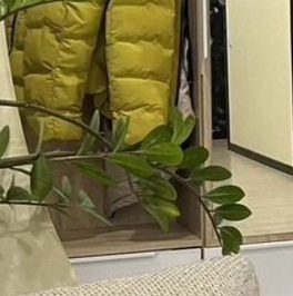 Продажа 2-комн квартиры на вторичном рынке Орехово-Зуево, Мадонская улица,  д. 12А