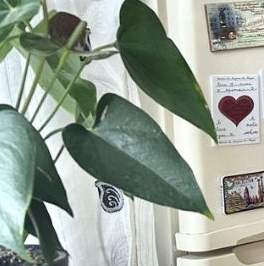 Продажа 2-комн квартиры на вторичном рынке Люберцы, Октябрьский проспект, 5к1