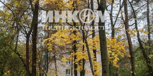 2-комн квартира ул Молостовых,  д. 3,  к. 1