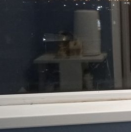 Аренда комнаты Рыбацкий проспект, 19К1