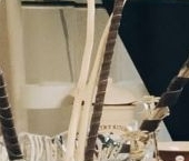 Продать Квартиры вторичка Липецкая улица, 17К1   