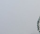 Сдать в аренду Квартиры вторичка 1-й Грайвороновский проезд, 13к4   