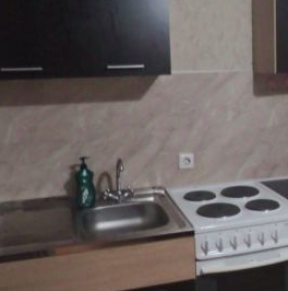 Аренда 1-комн квартиры на вторичном рынке Мурино, проспект Авиаторов Балтики, 17