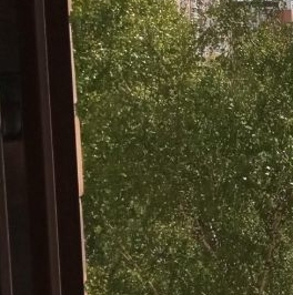 Продажа 2-комн квартиры на вторичном рынке улица Седова, 17К1 Продажа 2-комн квартиры на вторичном рынке улица Седова, 17К1