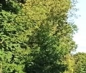 Продать Квартиры вторичка Красное Село, Хвойный тер., 35   