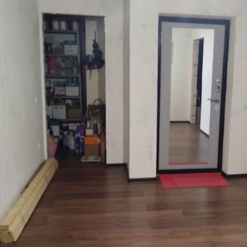 2-комн квартира пос. Парголово, улица Тихоокеанская, 1к2