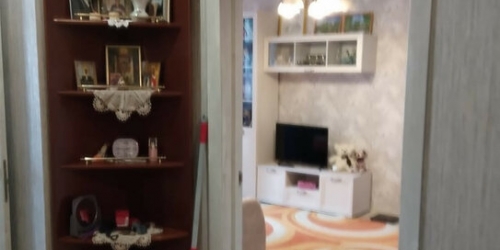 1-комн квартира улица Руднёвка,  д. 43