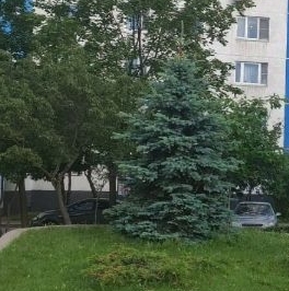 Продажа 1-комн квартиры на вторичном рынке Коломенская улица, 5 Продажа 1-комн квартиры на вторичном рынке Коломенская улица, 5