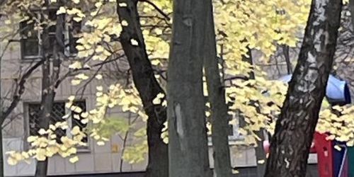 2-комн квартира Рублевское шоссе, 81К3