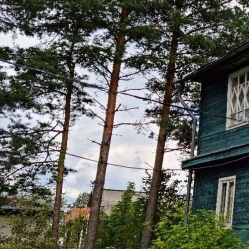 Коттедж/дом Красницы садоводческий массив, Компенсатор СТ, 1-я линия