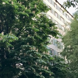 Продажа 2-комн квартиры на вторичном рынке Бакинская улица,  д. 29