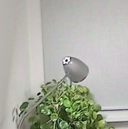 Аренда 1-комн квартиры на вторичном рынке Дмитровское шоссе, 107к3