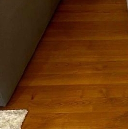 Аренда 1-комн квартиры на вторичном рынке Приморский проспект, 137к1