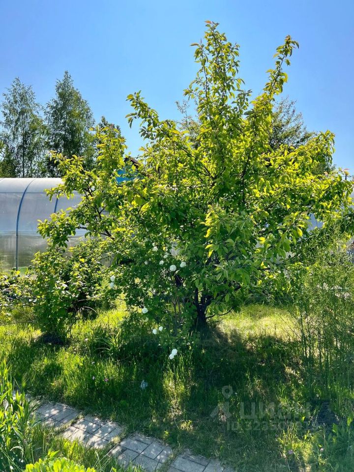 Продажа дома Мяглово-Карьер садоводческий массив, Север СНТ, 30-я линия, 1077,  д. 1077