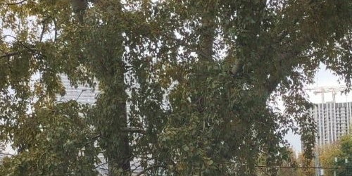 4-комн квартира Азовская улица, 23