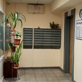 Продажа 1-комн квартиры на вторичном рынке Камышовая улица,  д. 5