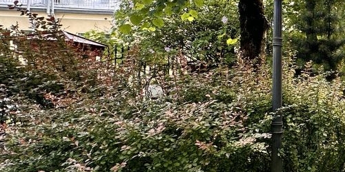 3-комн квартира Большая Озерная улица, 70