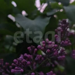 Продажа 2-комн квартиры на вторичном рынке ул Гранитная,  д. 50