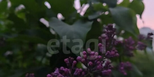 2-комн квартира ул Гранитная,  д. 50