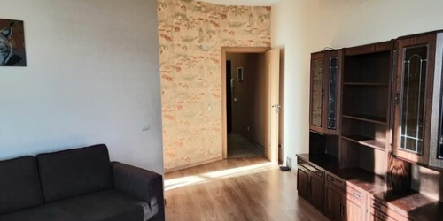 1-комн квартира Дибуновская улица,  д. 50