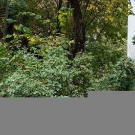 Продажа 1-комн квартиры на вторичном рынке 5-й микрорайон, Советская улица,  д. 22