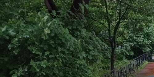 3-комн квартира Социалистическая улица, 16