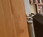 Продать Квартиры вторичка улица Чаплыгина, 8С1   