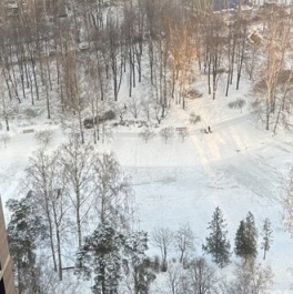 Продажа 1-комн квартиры на вторичном рынке Муринский 2-й пр-кт,  д. 24,  к. 2