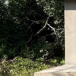 Продажа дома Красный Бор пгт, проспект Ленина, 17