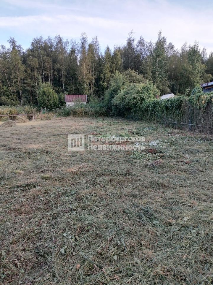 Продажа земли Новая Ладога, Нептун СНТ, улица Центральная, 308