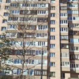 Продажа 3-комн квартиры на вторичном рынке Российский проспект