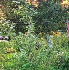 Продажа дома Сосновый Бор, проезд Корабельный