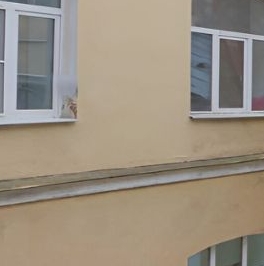 Аренда 2-комн квартиры на вторичном рынке улица Рубинштейна, 11 Аренда 2-комн квартиры на вторичном рынке улица Рубинштейна, 11