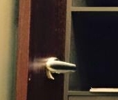 Сдать в аренду Квартиры вторичка улица Герасима Курина, 20   