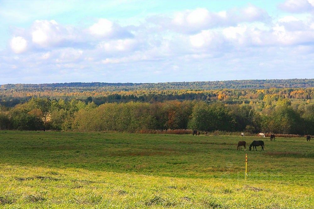Продажа земли Царский склон кп, Ропшинская долина кп