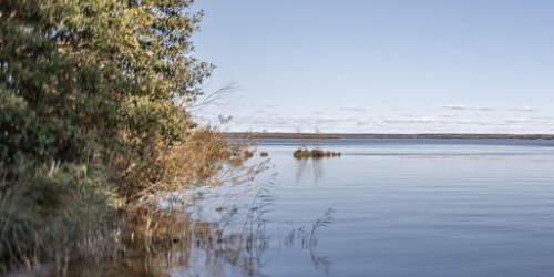 1-комн квартира Сестрорецк, проспект Тарховский, 24В