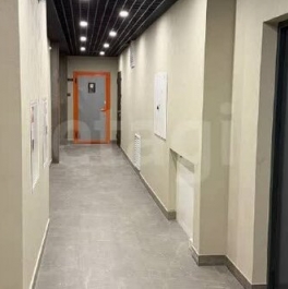 Продажа 1-комн квартиры на вторичном рынке Въезд, Пушкинское шоссе,  д. 1