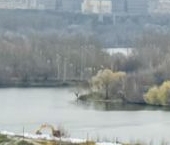 Продать Квартиры вторичка бульвар Чкаловский, 6к1   