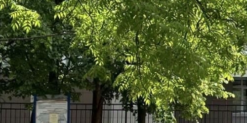 1-комн квартира Петергоф, Блан-Менильская улица, 7