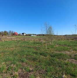 Продажа земли деревня Крюково, деревня Крюково