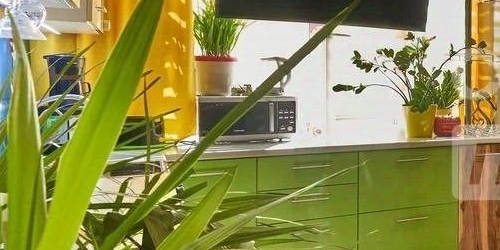 2-комн квартира Горелово тер., шоссе Красносельское, 56к2