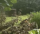 Продать Дачи, коттеджи, загородные дома Мшинская садоводческий массив, Нептун СНТ, улица Вишневая, 334   