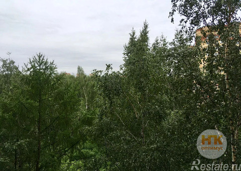 Продажа 1-комн квартиры на вторичном рынке Пушкино, Серебрянка,  д. 50