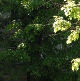 Продажа 1-комн квартиры на вторичном рынке Гвардейская улица, 9К1 Продажа 1-комн квартиры на вторичном рынке Гвардейская улица, 9К1