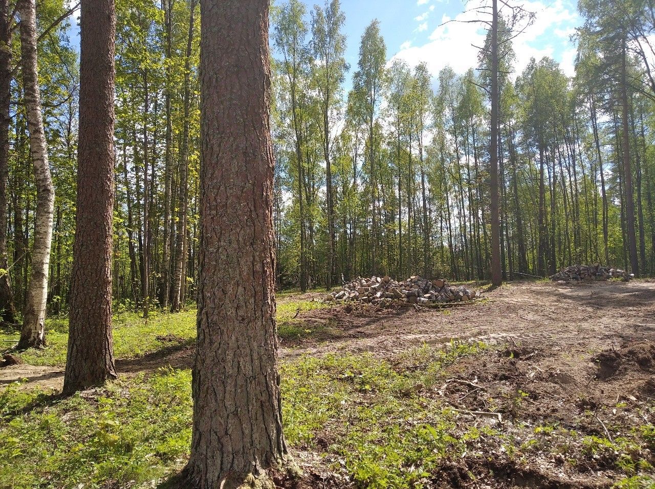 Продажа земли пос. Октябрьское, улица Дачная