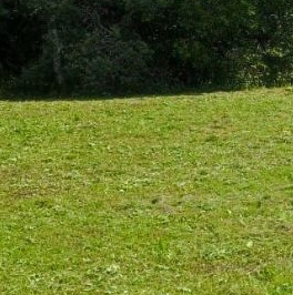 Продажа земли д. Баландино, 2 Продажа земли д. Баландино, 2