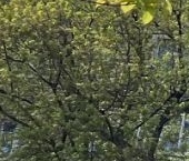 Продать Квартиры вторичка Варшавское шоссе, 52/2   