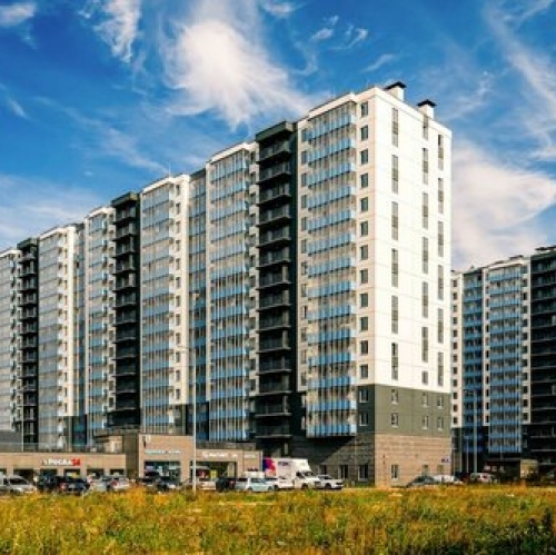 1-комн квартира Лесколово, ул Красноборская,  д. 12