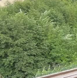 Продажа 2-комн квартиры на вторичном рынке пос. Парголово, Старожиловская улица, 2 Продажа 2-комн квартиры на вторичном рынке пос. Парголово, Старожиловская улица, 2