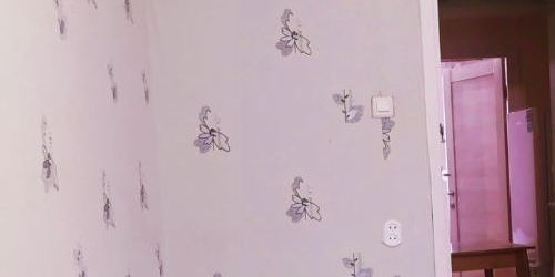 Комната Горелово тер., улица Школьная, 43